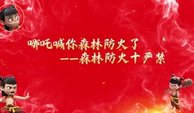 《哪吒喊你森林防火了之森林防火十严禁》——彭泽鑫（黔东南州林业局防火科）