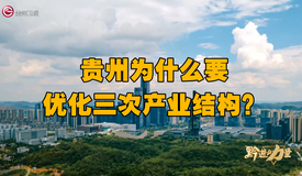 澳门足球博彩网上投注为什么要优化三次产业结构？| “黔”进的力量