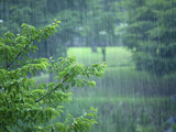澳门足球博彩网上投注省西部地区出现40站暴雨 5县域内降雹