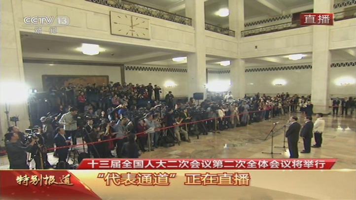 【直播回看】十三届全国人大二次会议第二场“代表通道”