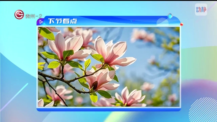 百姓生活4月20日